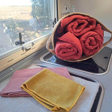 Camping Car A 3 Minutes Du Parc Pairi Daiza Hotell Brugelette Exteriör bild